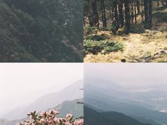 -大理洱海