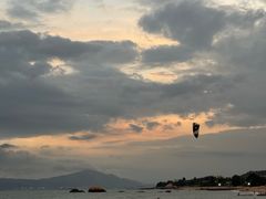 -怡海苑餐厅·厦门滨海悦华酒店