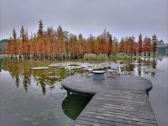 -白鹭湾湿地公园