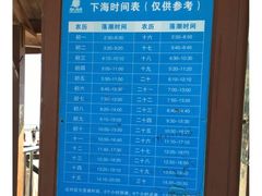 -碧海金沙
