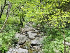 -玉渡山自然风景区