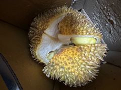 -阿麟馄饨(延长路店)