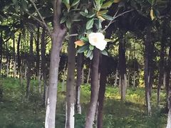 -艾溪湖湿地公园