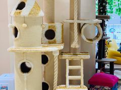 -藏猫猫咖啡主题馆(中央大道店)