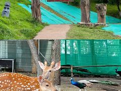 -王府井奥莱棋盘山小镇