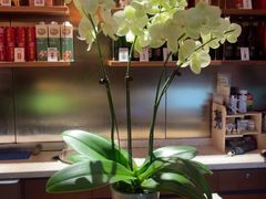 -柴门头啖汤·经典川菜·慢火汤品(锦城万达店)