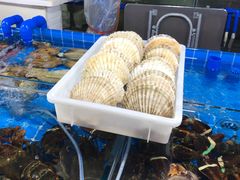 水产区-三亚新鸿港水果一级批发市场