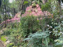 -富乐山