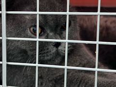 -中农大我爱我爱动物医院·核磁CT·猫病·24小时夜诊中心(石佛营店)