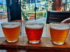 宝莱纳精酿啤酒-宝莱纳餐厅(滨江店)