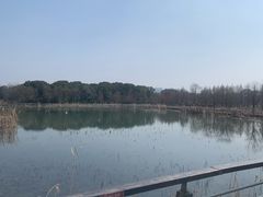 -昆山城市生态森林公园