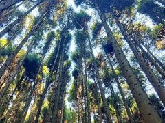 -山王坪喀斯特国家生态公园