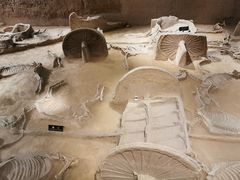 -洛阳周王城天子驾六博物馆