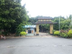 -长洲岛