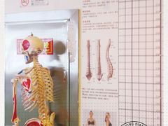 -席仁堂推拿按摩脊柱调理(世纪科贸大厦店)