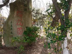 -八大山人梅湖景区
