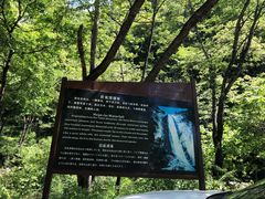 -黑河国家森林公园