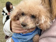 -爱侣宠医·鹦鹉专科·小型哺乳类·异宠专科(灵石路店)