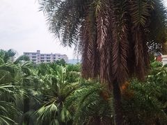 -厦门日月谷温泉渡假村