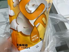 -白色日记·手作酸奶(麦凯乐店)