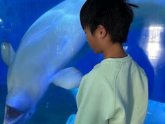 -泉城欧乐堡海洋极地世界