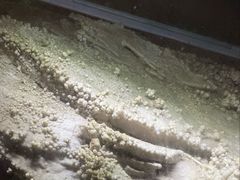 -浮戏山雪花洞风景名胜区