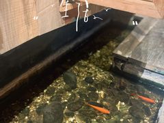 -邈墨茶馆(凤起路店)