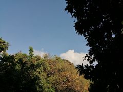 -青青世界
