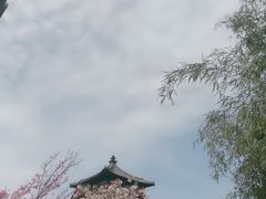-西安青龙寺遗址景区