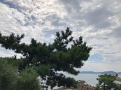 -八大关景区
