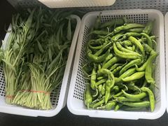 -绿草地·湘菜(酃湖师院店)