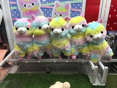 -LLJ夹机占(清河万象汇店)