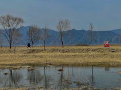 -野鸭湖国家湿地公园