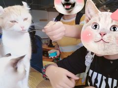 -Heymao猫咖.咖啡厅(东门店)