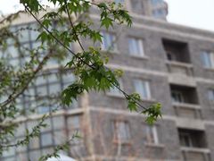 -辽宁大学(崇山校区)