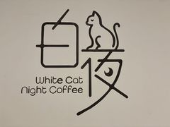 -白夜2D咖啡馆