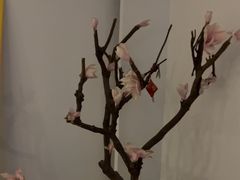 -锦初•影院式足道•新中式SPA(茂业天地店)