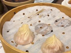 -苏小柳点心·手作小笼包(浦东嘉里城分院)