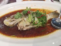 -欢乐海岸美食联盟