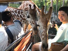 -清迈夜间动物园