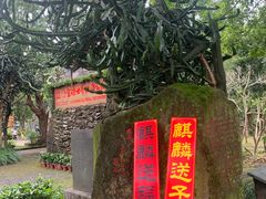 -海口火山口国家地质公园
