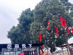 -空港花田景区