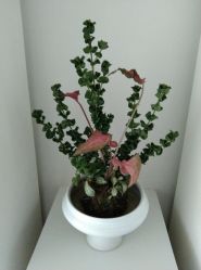 -颜蕾医美·黄金微针·水光·玻尿酸·超声炮·抗衰中心