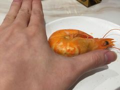 -子霖南山鲜虾面(南山总店)