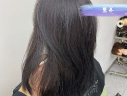-FANPU·设计