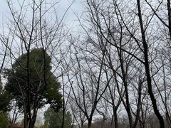 -堤角公园