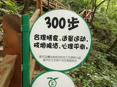 -大岭沟猕猴桃谷风景区