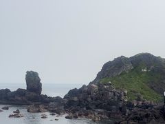 -涉地可支
