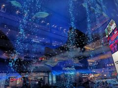 -成都浩海立方海洋公园