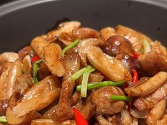 -凤凰湘语(浦东旗舰店)